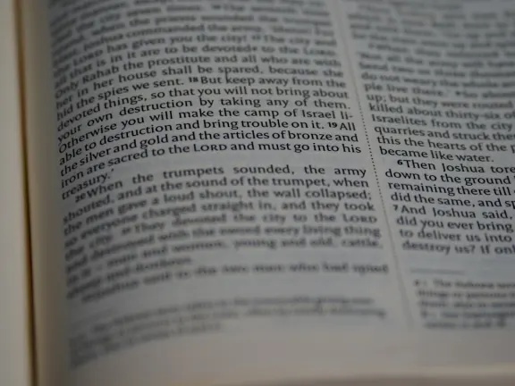 Hejgo Casino Soporte